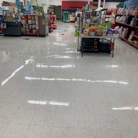Avril Management floor cleaning services at Petco